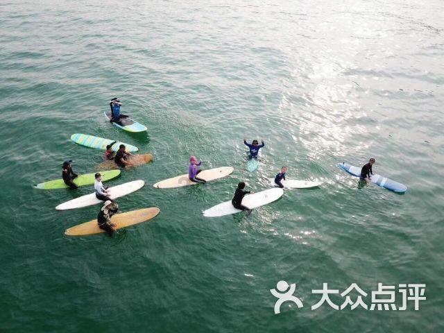 小猫钓鱼正版下载中文版