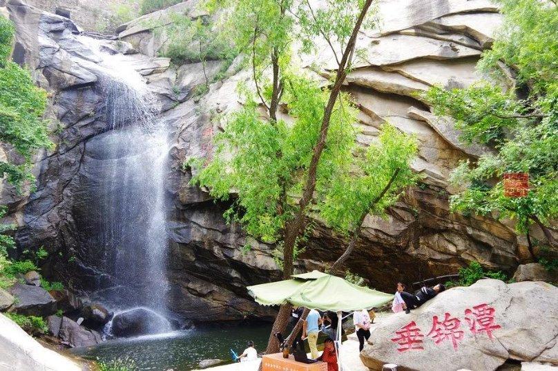 如何评价雪豹?演员表现怎么样?蜗牛问答,专注解决你的问题